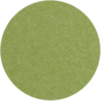 Green Tropical LuxCraft Poly Colors