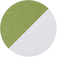 Green & White Tropical LuxCraft Poly Colors